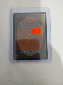 Magic The Gathering MTG Wasteland Tempest Great Condition - Image 2