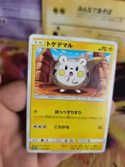 Pokemon Karte Card Togedemaru Sun & Moon Promo Black Star japanese Exc - Image 4