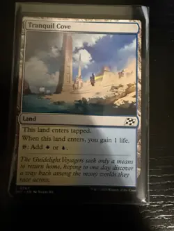 MTG Magic the Gathering Tranquil Cove (267/579) Aetherdrift NM - Image 1