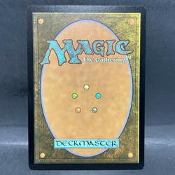 2025 MTG MARVEL'S SPIDER-MAN PARKER LUCK 0258 EXTENDED ART (RARE) - Image 2