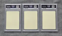 PSA 10 Spring Pokeka Sticker Let's Have Fun 2020 2021 2022 Japanese Pokemon Card - Image 2