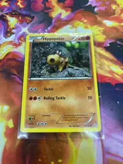 Hippopotas 87/160 XY-Primal Clash Regular NM-Mint Pokemon TCG - Image 3