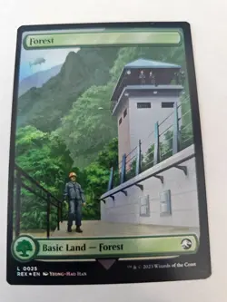 MTG - FOIL Forest - Jurassic Park - Double Sided - Image 2