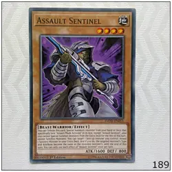 Assault Sentinel - DANE-EN011 - Common 1st Edition Yugioh - Image 1