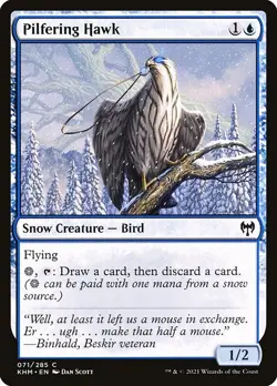 (2x FOIL) PILFERING HAWK - Kaldheim - MTG Magic the Gathering Card - Image 1