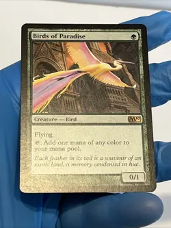 Birds of Paradise - Magic 2010 MTG - Condition Shown In Many Pictures - Image 5