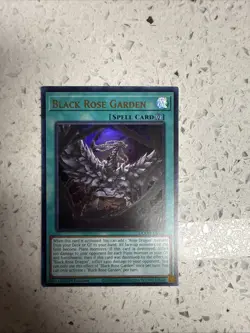 YU-GI-OH Black Rose Garden DOOD-EN0 1st Edition Ultra Rare NM - Image 1