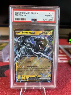 2025 POKEMON BLK EN ZEKROM EX PSA 10 Gem Mint - Image 1