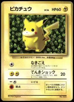 Ivy Pikachu No.025 CoroCoro Glossy Promo Japanese Pokemon Card DMG-2 - Image 1