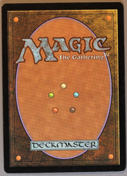 Hallowed Fountain - MTG - Return to Ravnica - Magic: The Gathering - Image 2