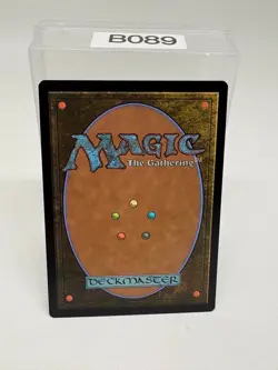 Asceticism 0233 Non Foil Rare LOTR Commander MTG Near Mint - Image 2