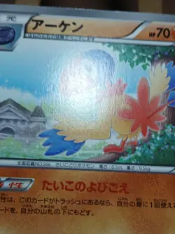 HP/DMG Pokemon Archen 044/076 Megalo Cannon BW9 Japanese - Image 4