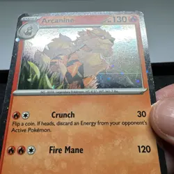 Arcanine Cosmo Holo Scarlet & Violet Promo 011 Pokemon TCG Card - NM SWIRL 🌀 - Image 4