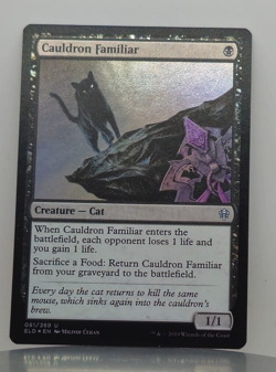 Foil - Cauldron Familiar - Throne of Eldraine - ELD - 81/269 - MTG - Image 1