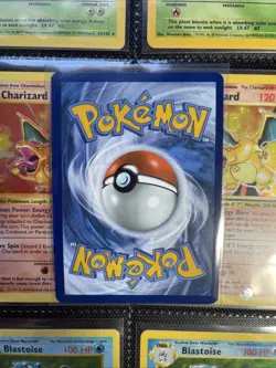 Oshawott (105/086) Illustration Rare - 2025 Pokemon TCG: White Flare - Image 2