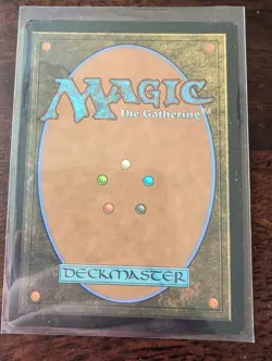 Terrasymbiosis (Borderless) MTG [Edge of Eternities] Near Mint - Foil 312 - Image 2
