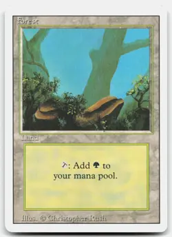 MTG Forest (A) L Revised Edition 284 MP - Image 1