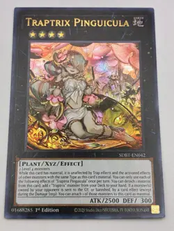 Yugioh! Traptrix Pinguicula - SDBT-EN042 - Ultra Rare - 1st Edition Near Mint, E - Image 2