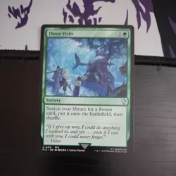 Three Visits - 315 / English / Near Mint mtg FFX - Image 1