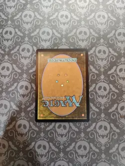 Sedge Sliver Time Spiral Regular - Image 4