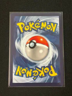 Squirtle with Grey Felt Hat Pokemon x Van Gogh Black Star Promo ACG Art Card NM - Image 2