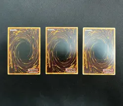 Yu-Gi-Oh! Birthright Common 1st Edition x3 5DS1 VLP x2 & SDWS NM x1 Playset - Image 5