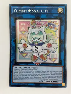 Yummy Snatchy Collector's Rare Card JUSH-EN022 1st Edition NM/Mint - Image 1