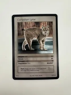 Life TCG Trading Card Game Canadian Lynx 1st Edition Holo #49 - NEAR MINT - OAN - Image 1