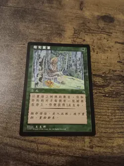 MTG SIMPLIFIED CHINESE ALTERNATE ART PORTAL FRUITION NM - Image 1
