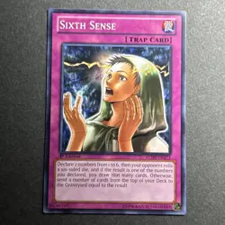 Sixth Sense LCJW-EN273 LP - Image 1
