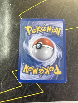 Zigzagoon - 7/10 2004 Latios Trainer Kit Pokemon Trading Card D1 - Image 2