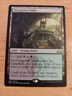 Overgrown Tomb - 253/259 (Guilds of Ravnica) - Near Mint NM - Rare - Image 1