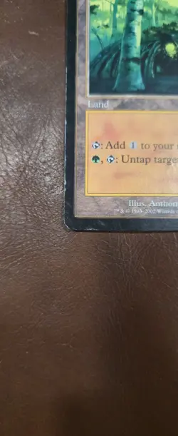 Magic The Gathering Wirewood Lodge Onslaught MTG - Image 3