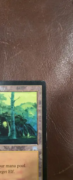 Magic The Gathering Wirewood Lodge Onslaught MTG - Image 4