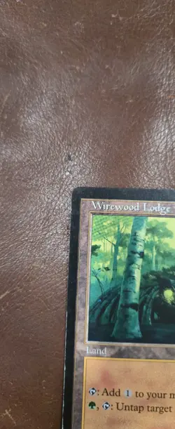 Magic The Gathering Wirewood Lodge Onslaught MTG - Image 5