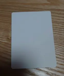 Swords To Plowshares Artist Proof Spanish Ice Mtg - Image 2