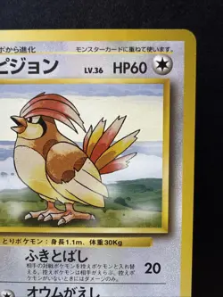 Pidgeotto #017 Rare - Pokemon Japanese 1996 Base Set Card - Image 3