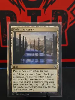 Path of Ancestry NM MTG Bloomburrow BLB BLC Magic Unplayed C 0322 - Image 1