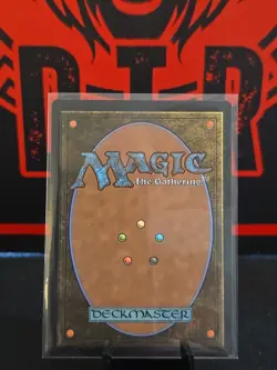 Evolving Wilds NM MTG Bloomburrow BLB BLC Magic - Image 2