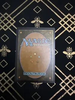 Windfall Iconic Masters Regular - Image 3