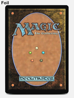 Collective Resistance (FOIL) - [Modern Horizons 3] MTG Magic 🌳 - Image 2