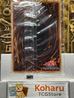 Yugioh Red-Eyes B. Dragon 2019-JPP01 MSE World Championship Jpp Limited Sealed - Image 2