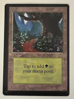 Magic the Gathering MTG Beta Forest v.1 (PATH) NM- (Beta Bob) - Image 1
