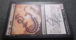 Mtg Super Rare Artist Signed Star Of The Night Black Shadow Chk - Image 3