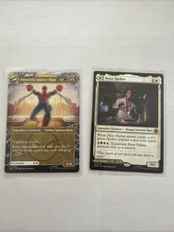 2x Peter Parker | Amazing Spider-Man (Borderless+Reg) Mtg Mythic - Image 2