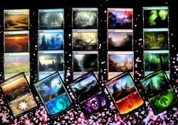 GirlGames - MTG M21 COLLECTOR SET - LP 1X EA BASIC LAND WITH FOIL SHOWCASE LANDS - Image 1