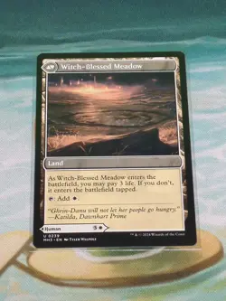 Witch Enchanter / Witch-Blessed Meadow x1 1x Modern Horizons 3 NM MTG - Image 3