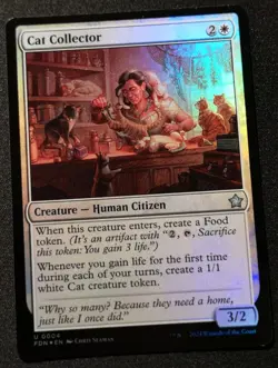 Cat Collector - Foil - FDN - MTG - EN - NM - 0004 - Image 1