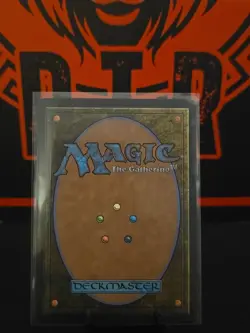 X 1 Esquire of The King NM Lord of The Rings 013 MTG Magic The Gathering - Image 2