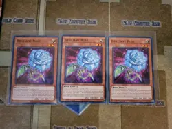 YUGIOH 3X BRILLIANT ROSE POTE-EN021 COMMON 1ST ED NM - Image 1